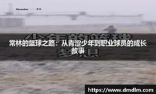 BB贝博艾弗森官方网站